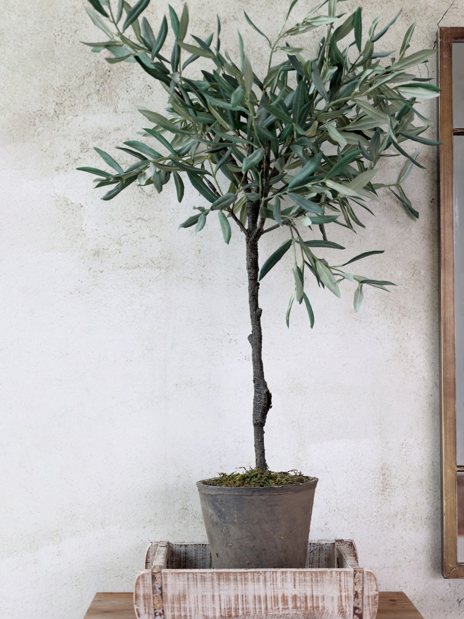 Chic Antique Fleur Olivenbaum künstlich 88 cm