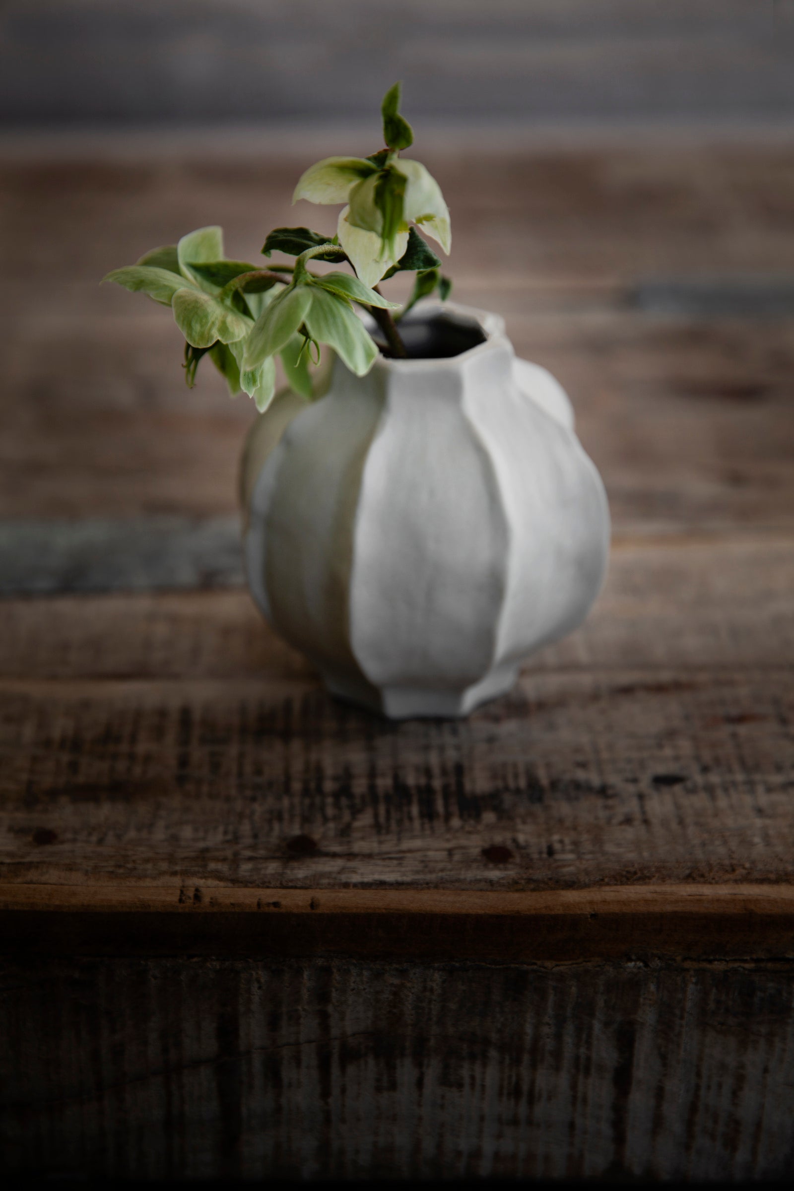 Ernst Vase Naturweiß 14x13 cm Steingut