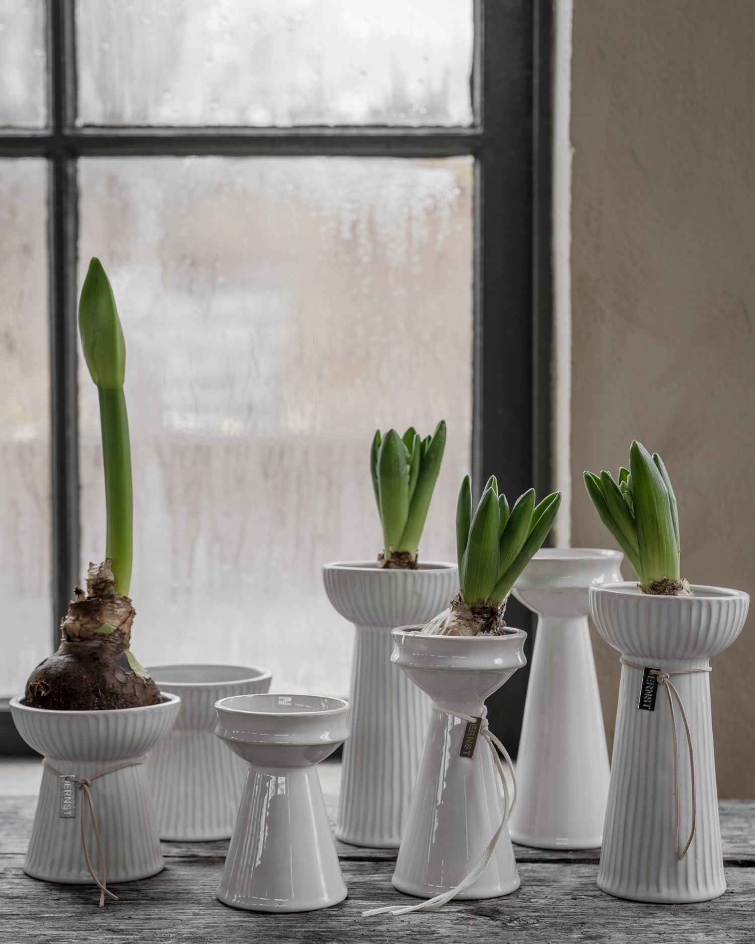 Ernst Vase Hyazinthen Weiß 19 cm