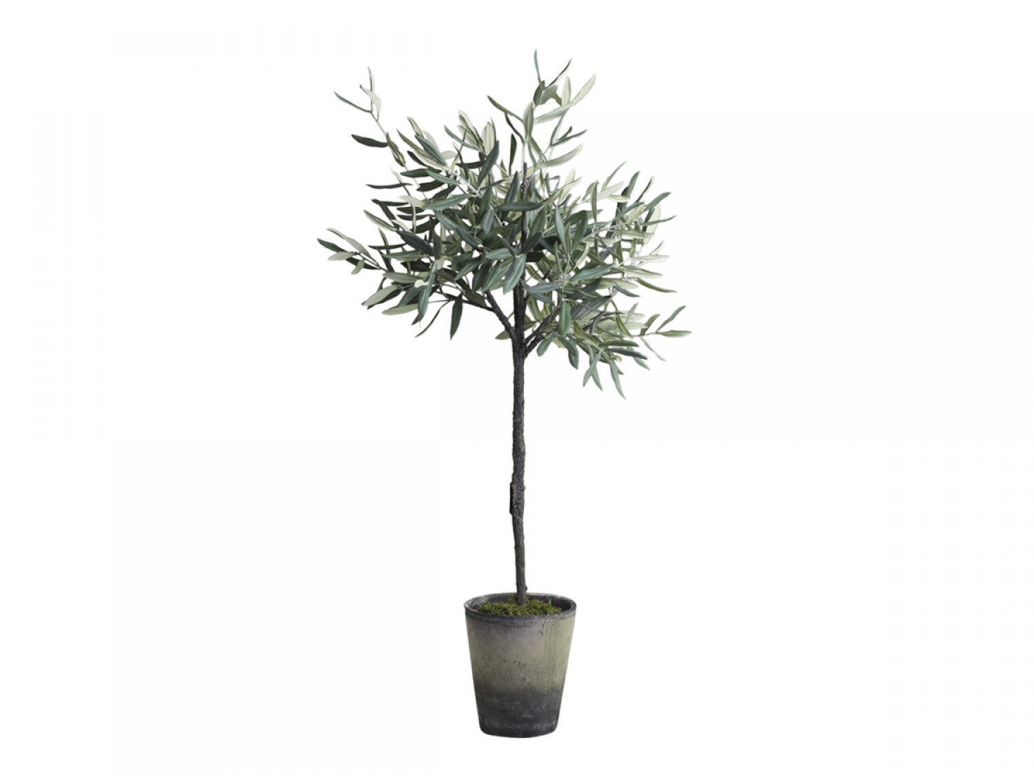 Chic Antique Fleur Olivenbaum mit alten Topf künstlich 104 cm
