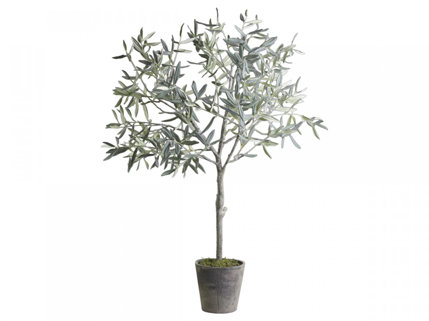 Chic Antique Olivenbaum 90 cm künstlich