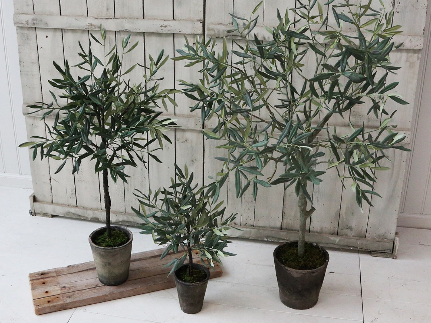 Chic Antique Olivenbaum 90 cm künstlich