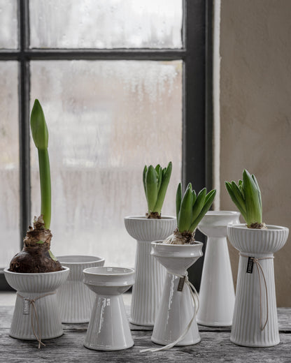 Ernst Vase Hyazinthen Weiß 19 cm