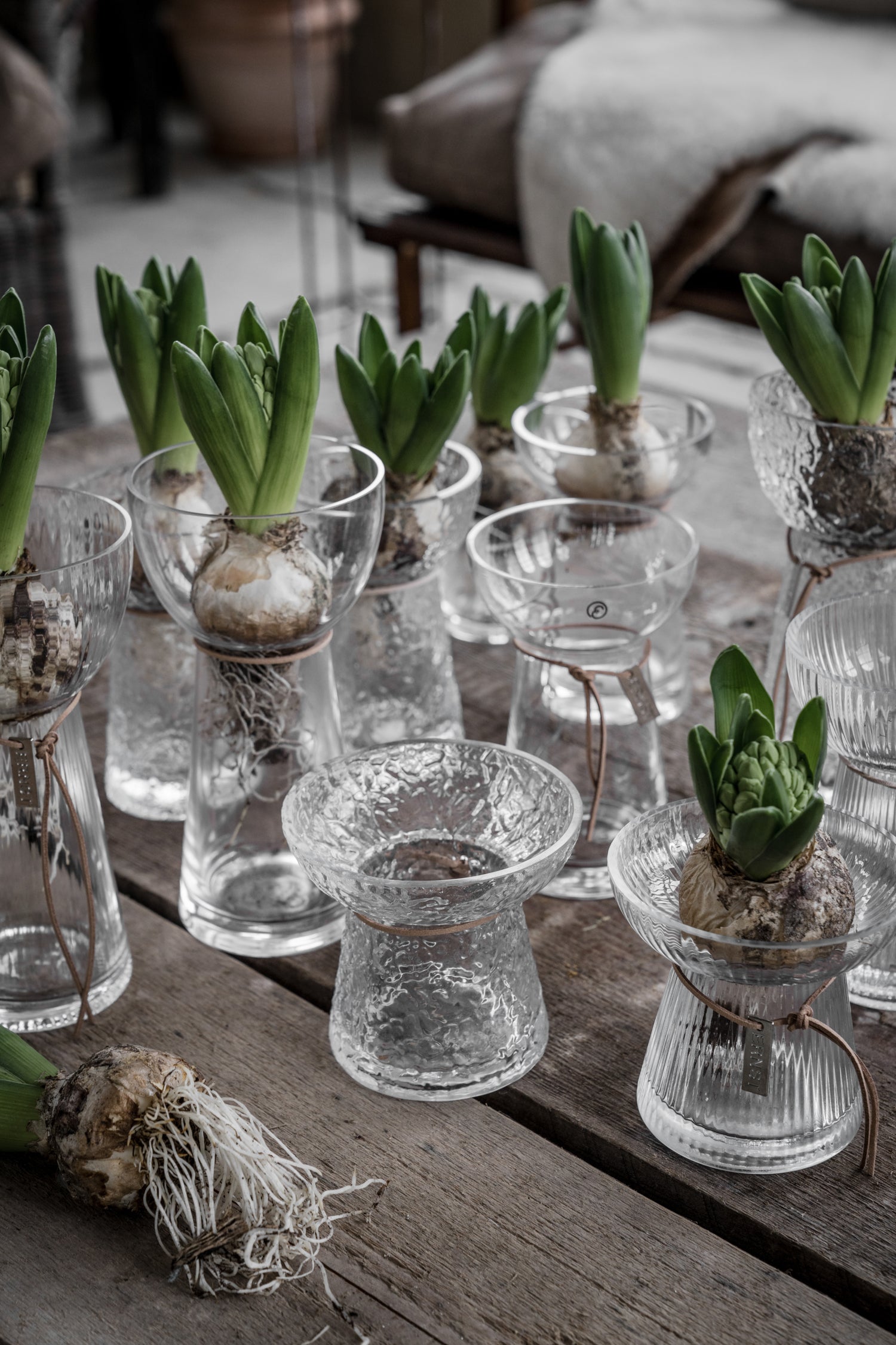 Ernst Vase Hyazinthen Glas geriffelt 19 cm