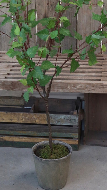 Chic Antique Fleur Birkenbaum Birke künstlich 120 cm